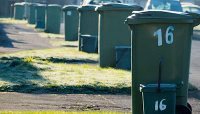 Could you be fined for putting the wrong things in your bin?