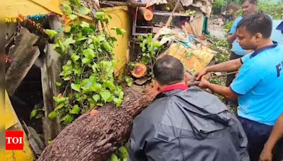 Shiv Sena MLA promised to repaired three houses damaged due to tree collapse in Kalyan | Thane News - Times of India