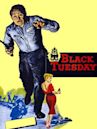 Black Tuesday (film)