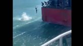 Video: Presuntos polizones en barco procedente de Florida hicieron esto en Puerto Rico