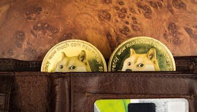 Dogecoin (DOGE-USD): A Glimpse into Its Recent Surge and Potential