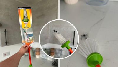 Listen up arachnophobes – Aldi’s viral spider catcher has banished my fears