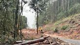 Chuva volta a causar estragos nas estradas do interior de Caxias do Sul | Pioneiro