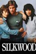 Le Mystère Silkwood