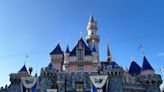 Streaker at Disneyland lays bare (literally) why theme parks have rules