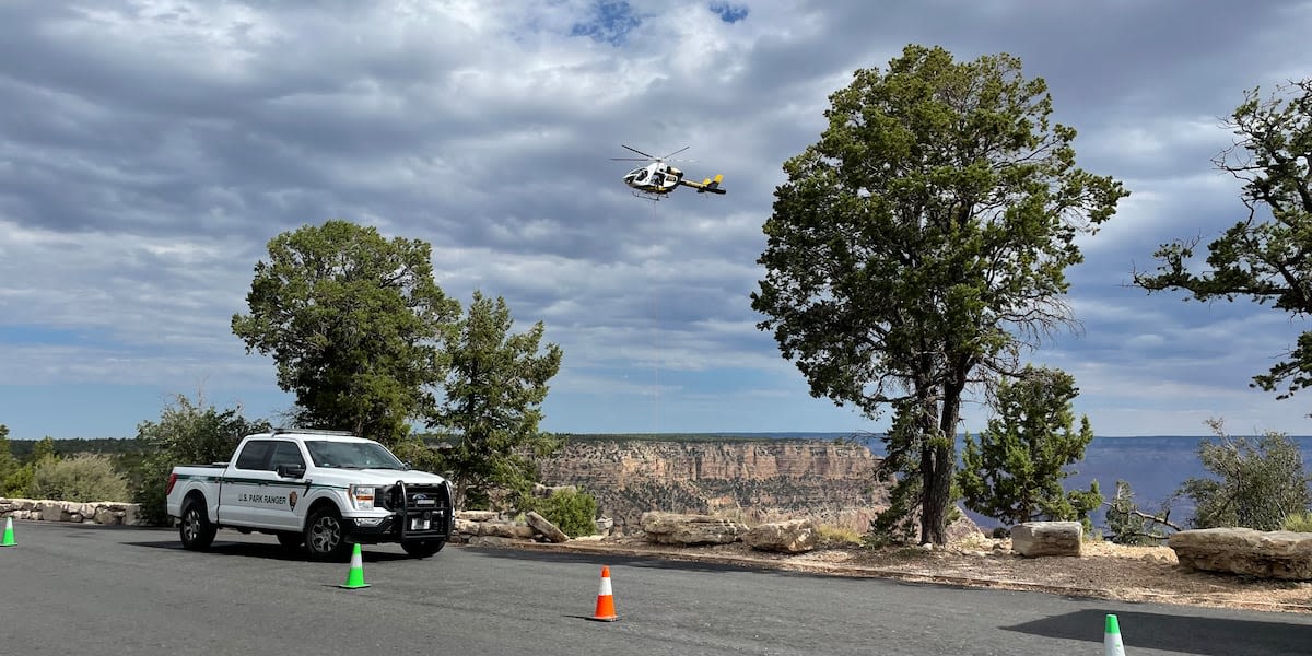 3rd person dies at Grand Canyon in just a week