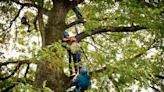 Glasgow family-friendly event teaching tree-climbing coming to Queens Park