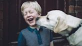 Best Dog Breeds for Children on the Autism Spectrum