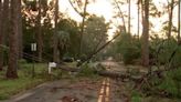 Disaster declaration could be coming soon for hurricane ravaged South Georgia