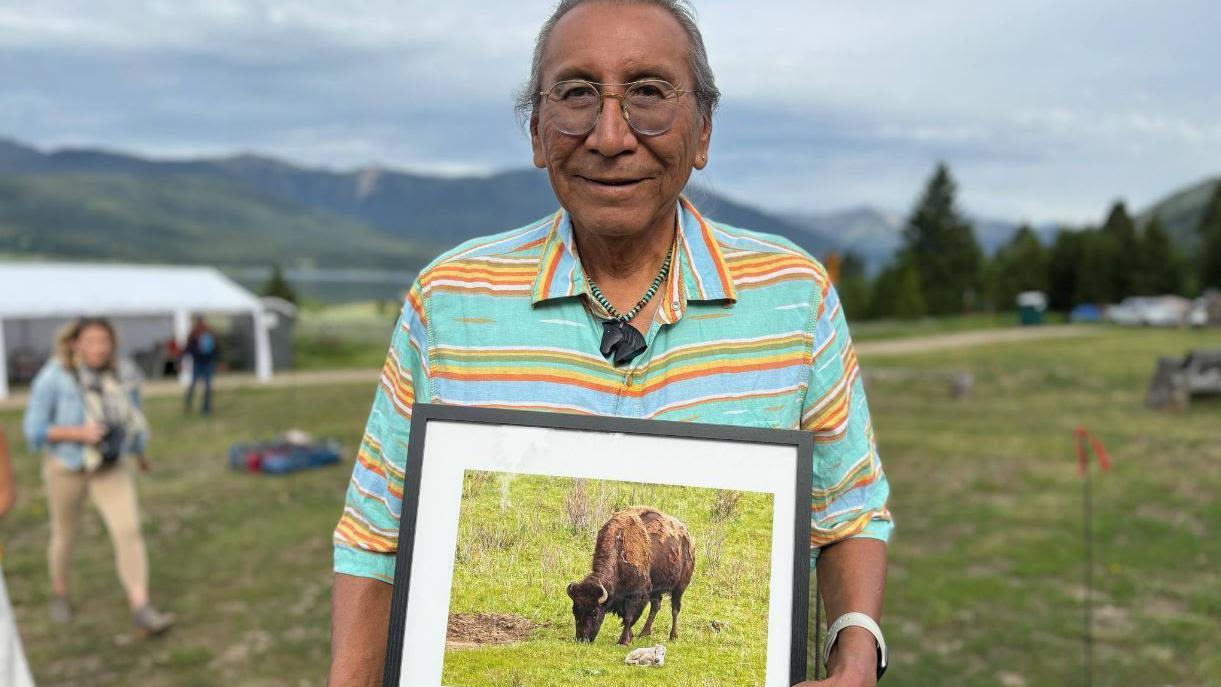 Sacred buffalo calf offers hope amid efforts to revive species