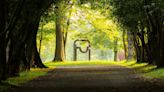 Art-handler de Chillida Leku: "Hemos tenido que mover muchas obras por el centenario de Chillida"