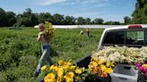 How the Shock of Catastrophic Floods Is Changing Farming in Vermont