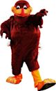 HokieBird