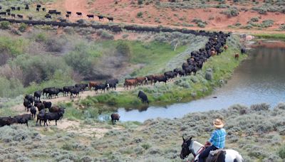 A Road Trip in Wyoming Celebrates Its Women's Voting History