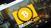 Bitcoin Cash Jumps 10% Ahead of Optimistic May Hard Fork