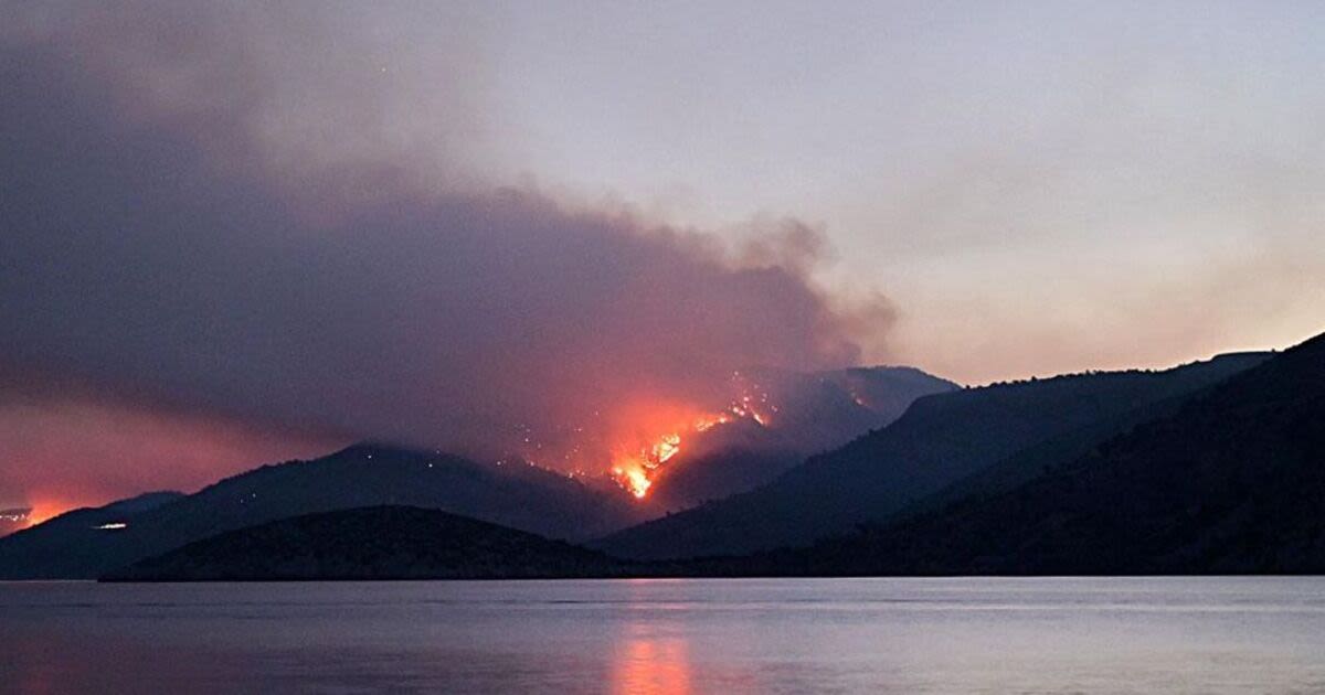 Tells us if you are considering the risk of wildfires when booking your holidays