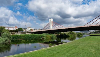 Reabre el parque fluvial del Besòs tras el vertido tóxico por el incendio en Polinyà, Barcelona: centenares de peces muertos