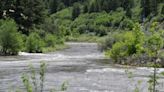 Parks and Wildlife finds more evidence of invasive zebra mussels in Colorado River