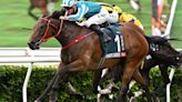 Romantic Warrior Battles To Record Third QEII Cup Success At Sha Tin