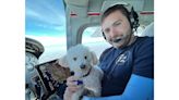 Rescue Flight Helps 23 Senior Shelter Dogs Find Homes So 'No Old Dog Dies Alone and Afraid'