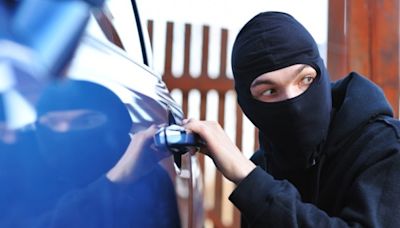 How an Ottawa neighbourhood is trying to battle car thieves