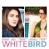 White Bird