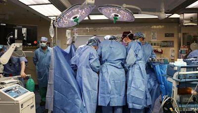 Muere paciente que recibió trasplante de riñón de cerdo | Teletica