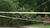 Residents in South Dallas' Queen City neighborhood hit day three of no power, downed wires and fallen trees