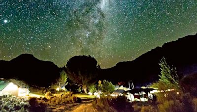 Can stargazing in South Africa give Tanya Gold her spark back?