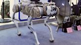 How China's gun-toting robodogs are looking to change combat forever