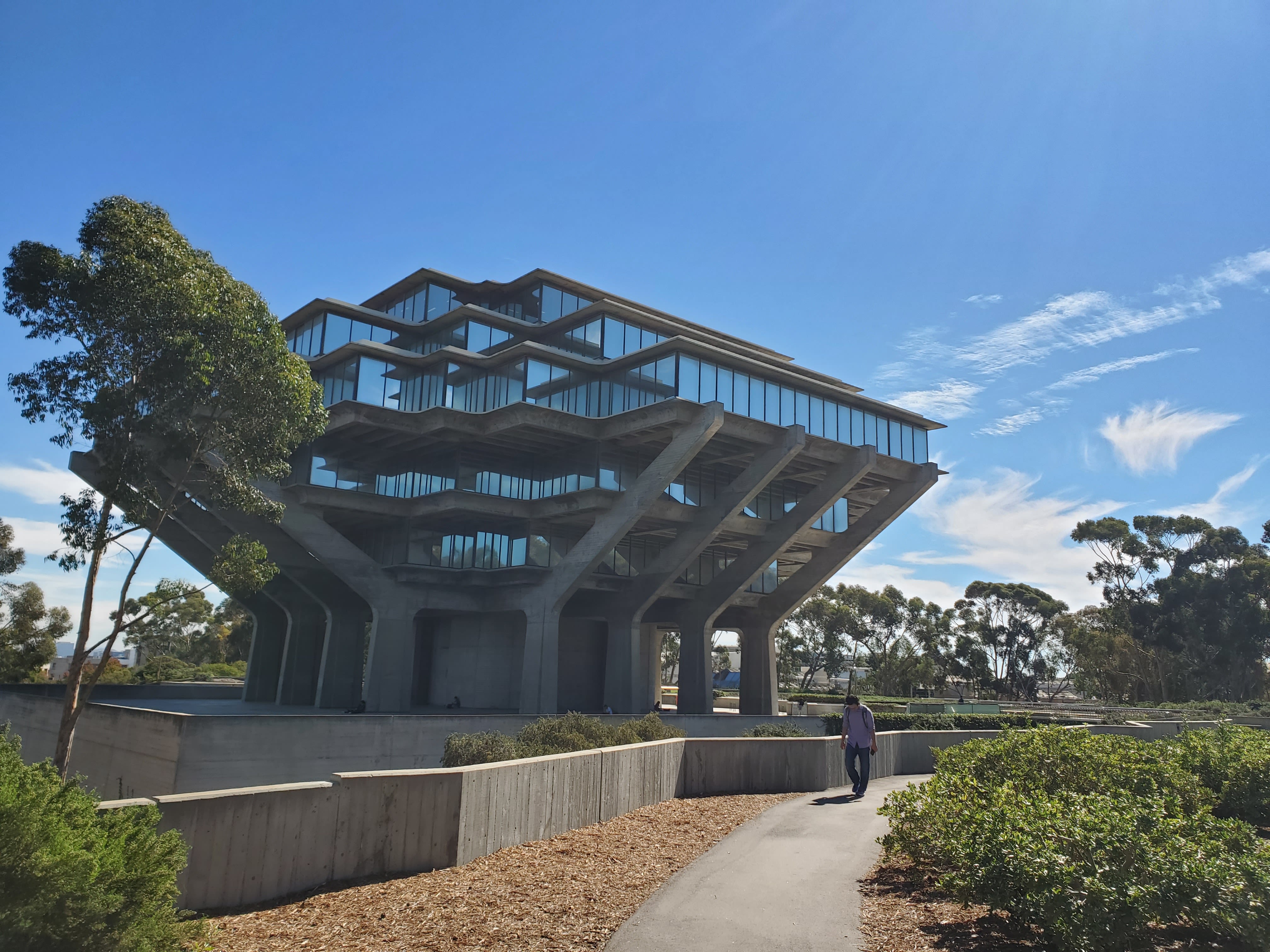 UCSD students establish pro-Palestine encampment on campus