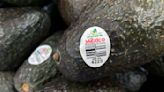 US ambassador visits conflict-ridden Mexican state to expedite avocado inspections