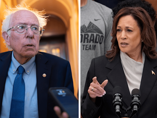 Sanders: Harris needs to address needs of ‘forgotten’ people