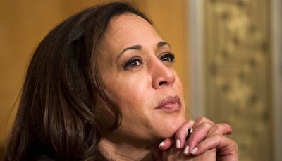 Major Dem donor says he won't support Kamala Harris: 'Good luck'