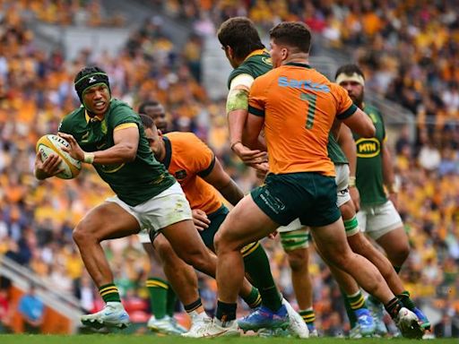 Honeymoon over for Joe Schmidt as Boks give young Wallabies a reality check