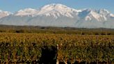 Argentina winemakers talk inflation, exports and future of Malbec