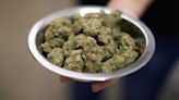 US unveils proposal to ease restrictions on marijuana