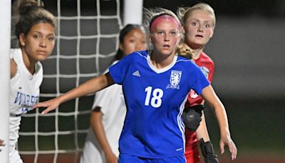 Lake Zurich gets Wise, as usual. Junior forward Ellie Wise comes off the bench and makes a sudden impact.