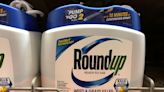 U.S. Supreme Court rejects Bayer bid to nix Roundup weedkiller suits