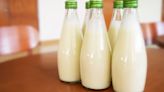 Dodla Dairy stock jumps 16% on stellar Q1 earnings, logs biggest intraday gain in 6 months | Stock Market News