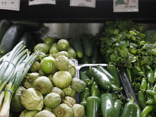 Una dieta sana en los primeros años de vida mejora la cognición en la vejez, según un estudio