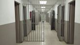 Los 'Petazetaz' podrían ingresar en prisión provisional ante el riesgo de fuga