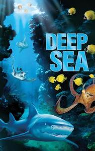 Deep Sea