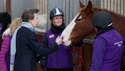 Princess Anne in Hospital With Minor Injuries, Concussion