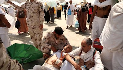 Cardiovascular disease, heatstroke among reasons for deaths of Indians undertaking Hajj: Centre