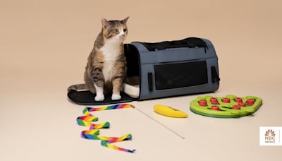 The best cat toys, according to pet parents who tried them