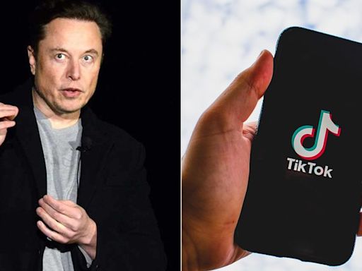 Musk, propietario de X, se opone a la prohibición de su competidor TikTok en EU | El Universal