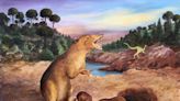 Earliest known mammal identified using fossil tooth records