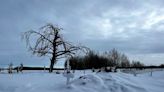 Tainted milk led to deaths of Alberta residential school children, group says