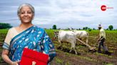 Rs 1.52 Lakh Crore Boost For Agriculture In Budget: Emphasis On Natural Farming, Jan Samarth Kisan Credit Cards And More